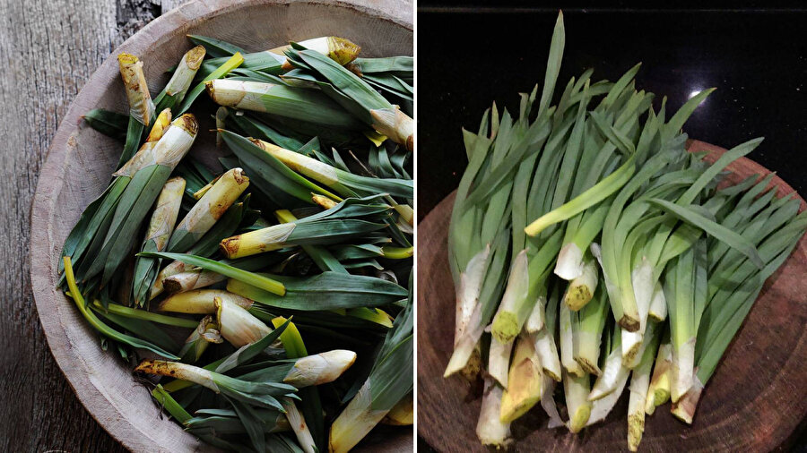 Tezgahlardan kalkmadan çiriş otunu yakından tanıyalım