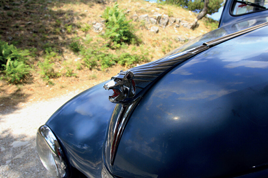 Teknoloji doğadan ilhamını alırken; aslında iletişim ve pazarlama alanlarında da doğadan esinlenerek yeni ve özgün söylemlerin üretildiğine tanık oluyoruz.