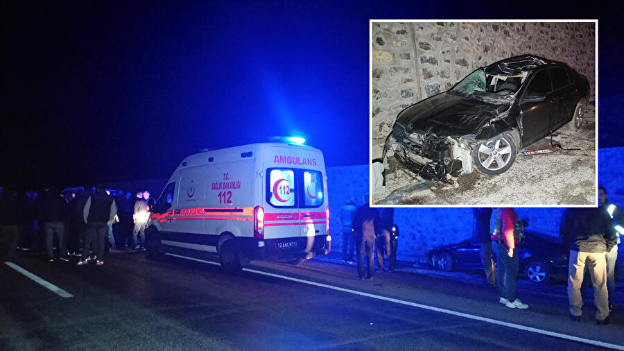 Bingöl'de otomobil ata çarptı: 1 kişi hayatını kaybetti
