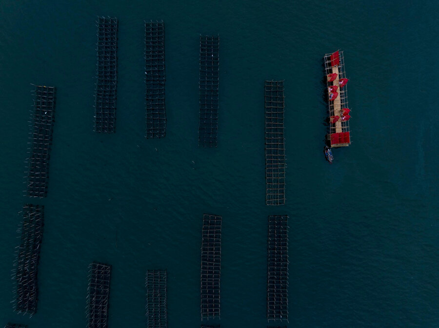 Pavyonun yukarıdan görünümü.