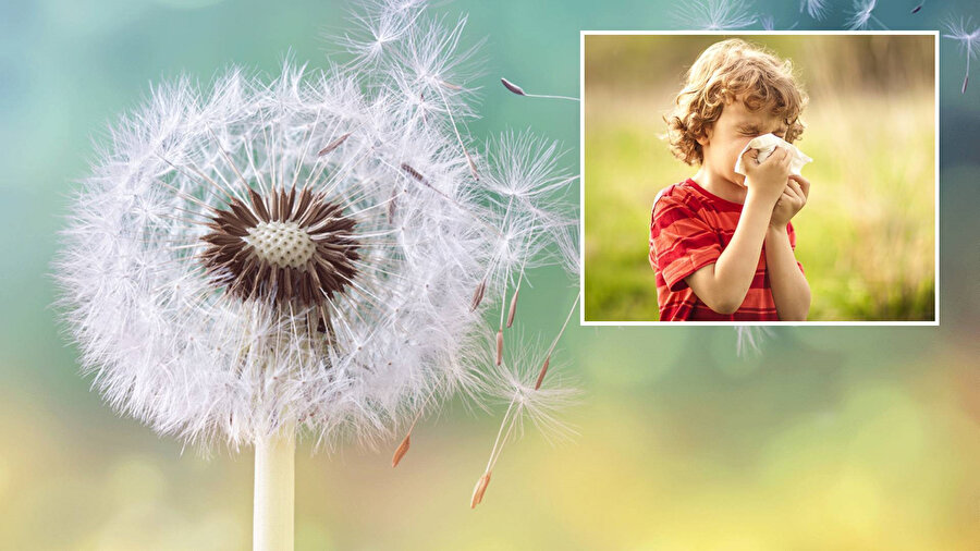 Bahar alerjinizi her yerde hafifletecek yöntemler
