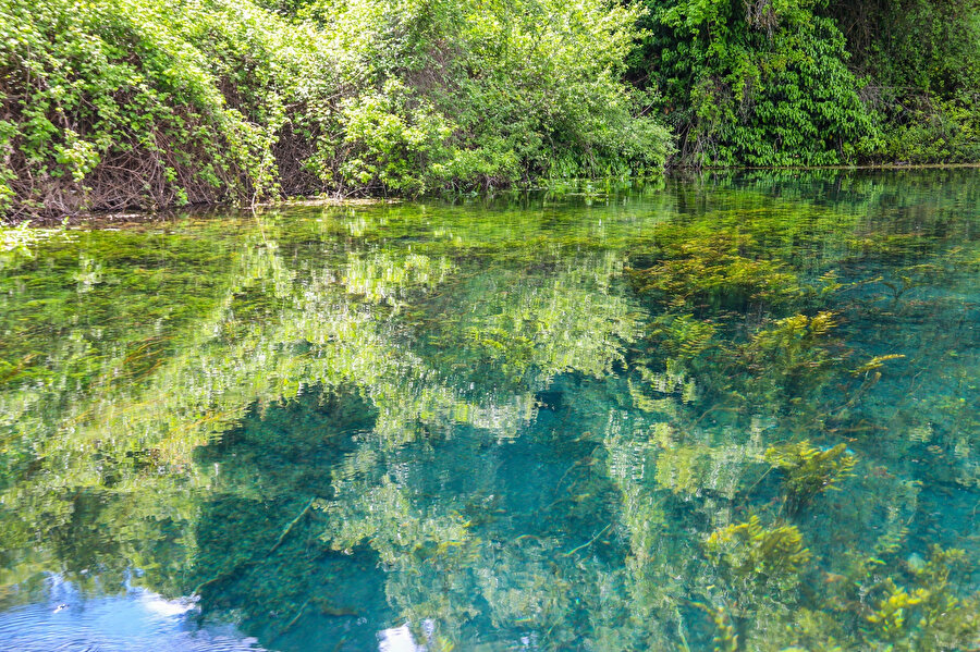 Sveti Naum’da, temmuzda bile buz gibi soğuk suyun yer altından kaynadığı küçük gölet, Ohri Gölü’nü besleyen önemli su kaynaklarından biridir.