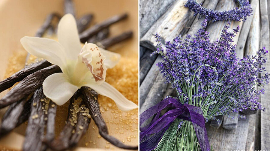 ​Kokuların dünyası