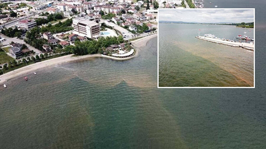 İzmit Körfezi'nde denizin rengi kahverengiye döndü