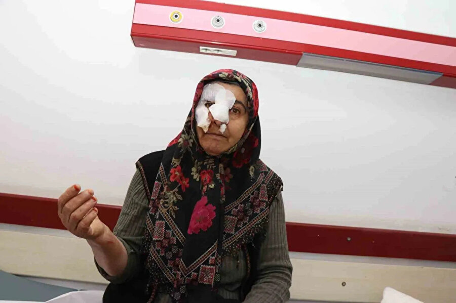 Sokak köpeklerinin saldırısına uğrayan Hülya Altınok