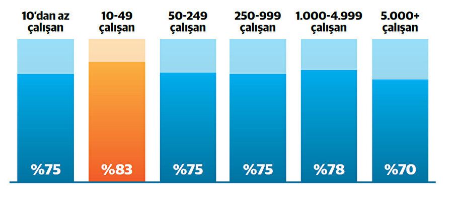 Türkiye’de şirket büyüklügüne göre yetenek açığı. kaynak: ManpowerGroup 2024 Yetenek Açığı Raporu.