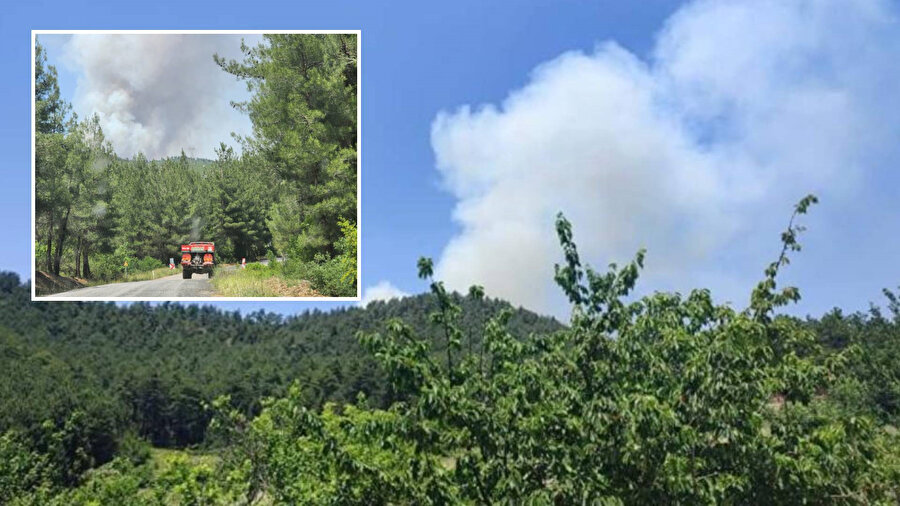 ​Bursa'da orman yangını çıktı