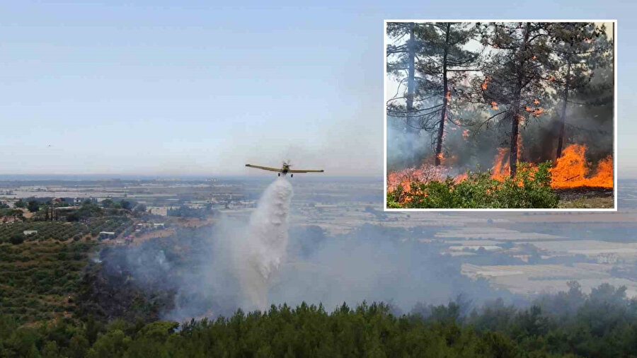 3 ilde orman yangını çıktı