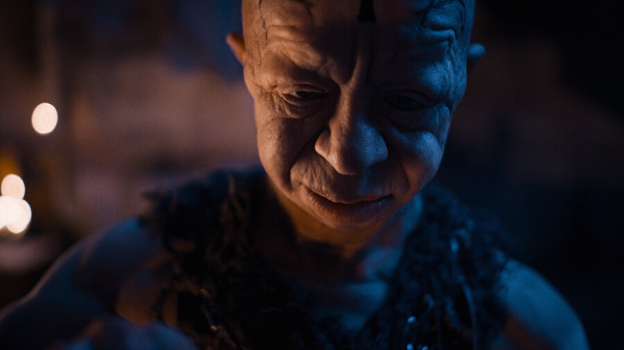 Baskın (2015)