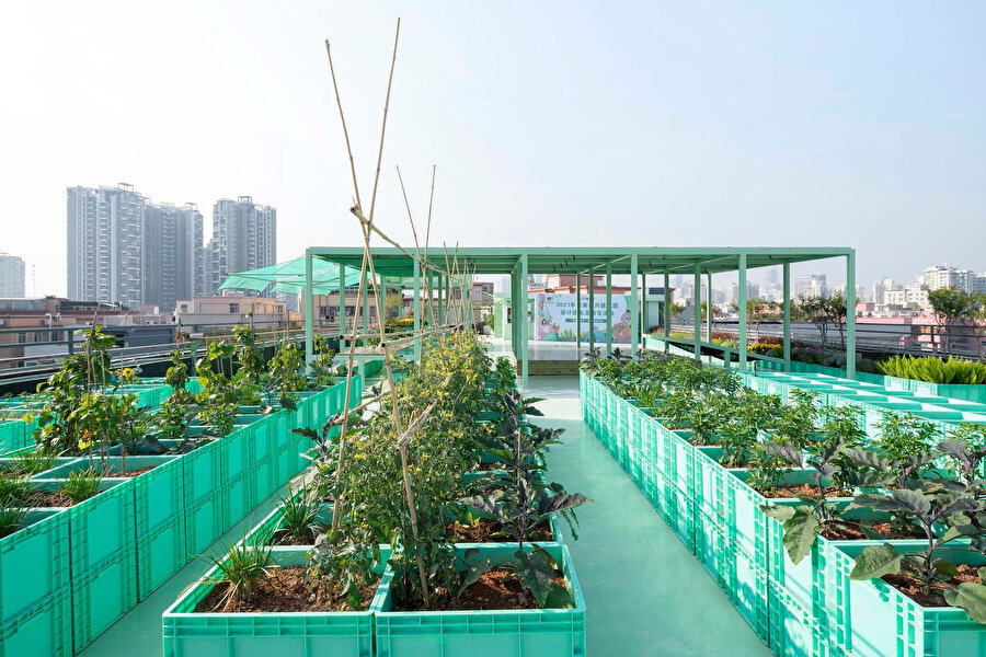 Green Cloud Garden’ın açılışında gönüllülerle çiçek dikme aktivitesi gerçekleştiriliyor.