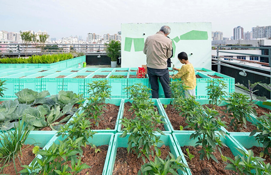 Özel çatı bostanı sayesinde apartman sakinleri, civarda yaşayan ev hanımları veya yaşlı çiftler gibi tarımla ilgilenen insanlar kendi sebzelerini yetiştirmeyi deneyimleyebiliyor.