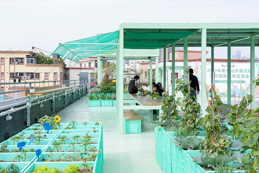 Green Cloud Garden, şehirde çatı katında kullanılan bir bostan olması ile dikkat çekiyor. 