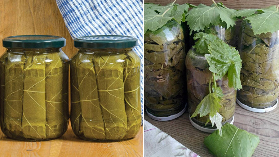 Asma yapraklarını saklama yöntemleri
