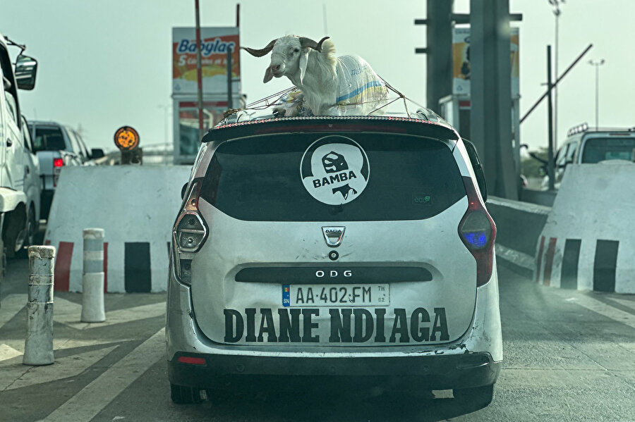 Kurban Bayramı'nda gelir seviyesi en düşükler dahi kurban kesmeye gayret ediyor.