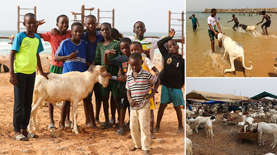 Senegal Kurban Bayramı'na hazır.