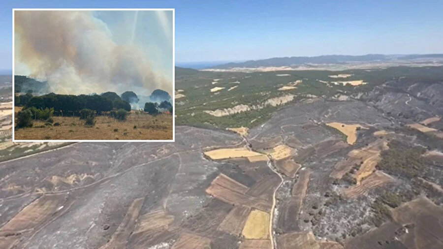 Çanakkale'de orman yangını