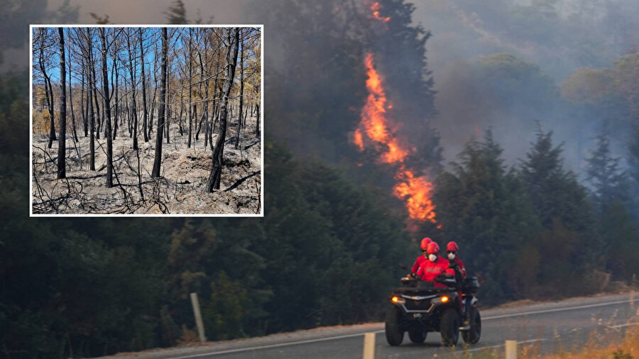 Kuşadası'nda antik su kemerleri yangında zarar gördü