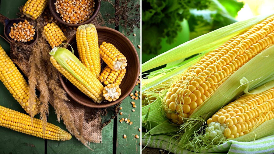 En iyi mısır nasıl seçilir 5 maddede anlatıyoruz!