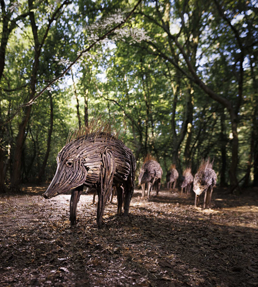 Ewa Dabrowska, “Herd”