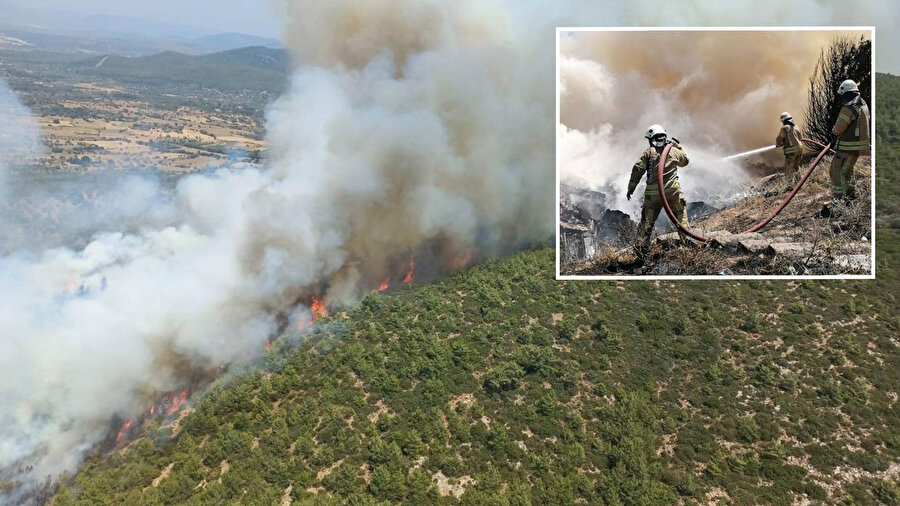 Muğla’nın Bodrum ilçesinde orman yangını çıktı.