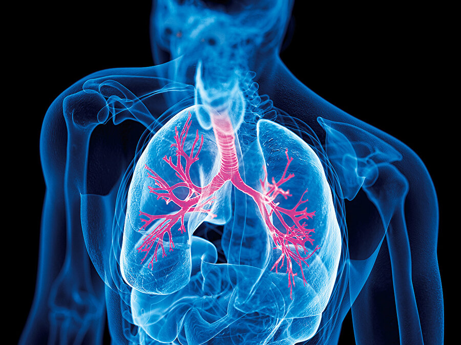  İstanbul bronşiti (aslında aşı bronşiti demek daha münasip) adını ta 2004’de vermiş ve gündeme getirdiğinde halkımızın bu konudan ne kadar muztarip olduğu yazılarına yapılan yorumlardan anlaşılmakta.