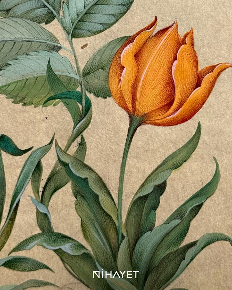 Doğanın Zarafeti ve Sanatın İnceliği 🌸