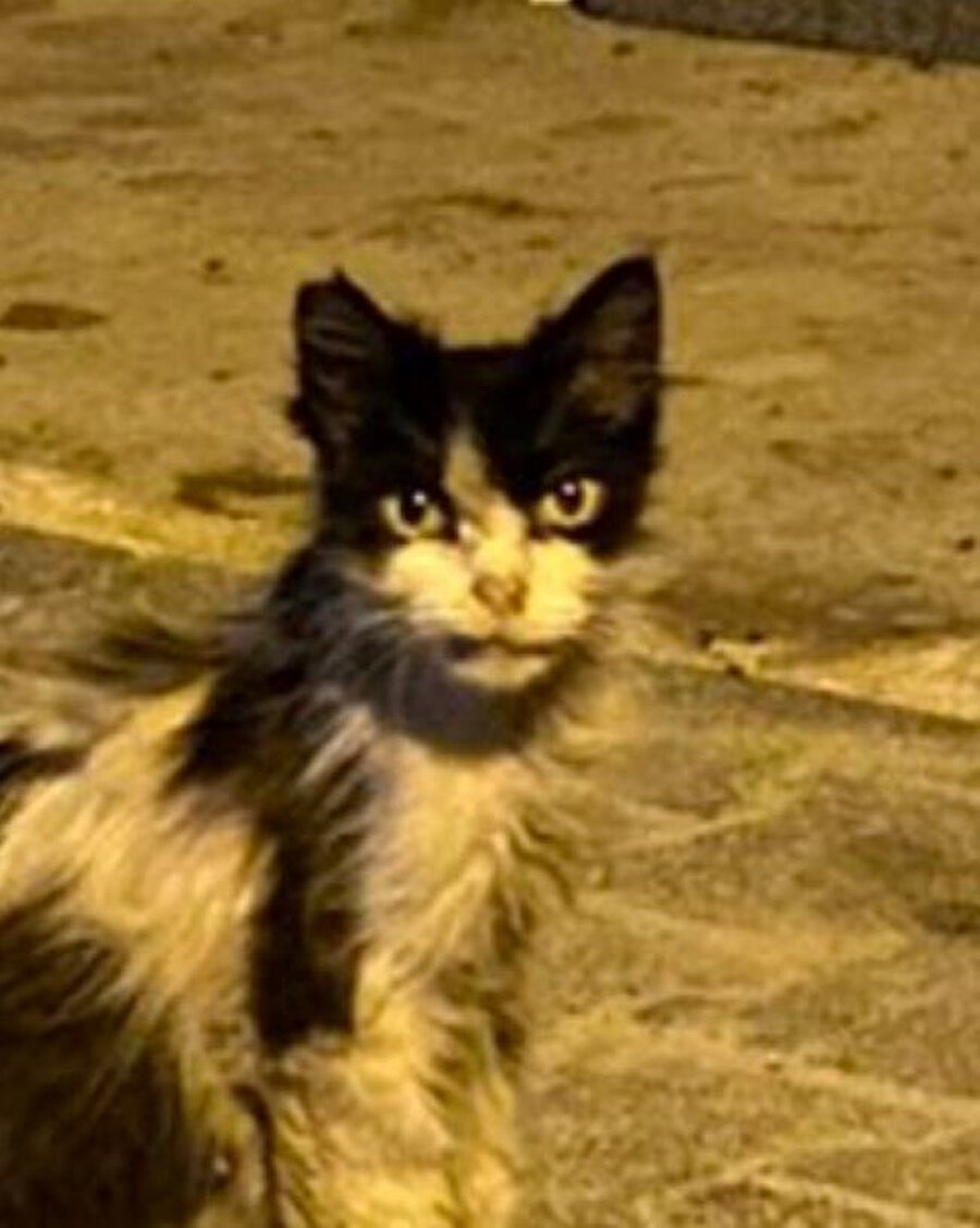 Hiçbir fark göremiyorum