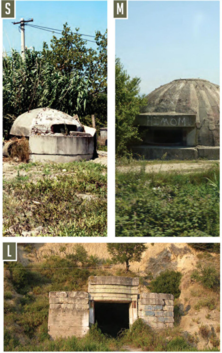 Boyut tiplerine göre koruganlar. Fotoğraf: Concrete Mushrooms Project. 