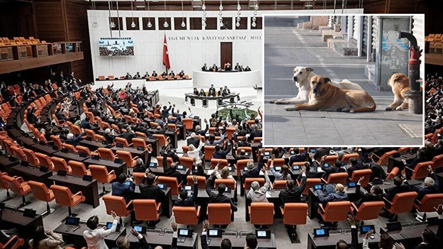 Arşiv