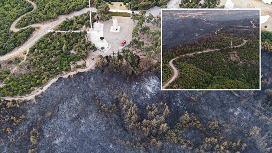 Tarihi Alan’daki orman yangınında 980 futbol sahası büyüklüğünde yer etkilendi