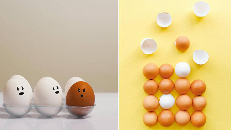 Yumurtaların rengi neden farklı?