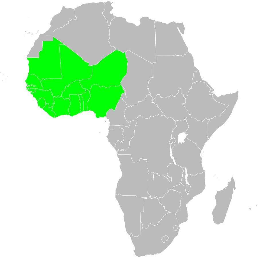 Hausa; Arapça, Fransızca, İngilizce, Portekizce ve Swahili'den sonra Afrika'nın en yaygın konuşulan dillerinden biridir. 