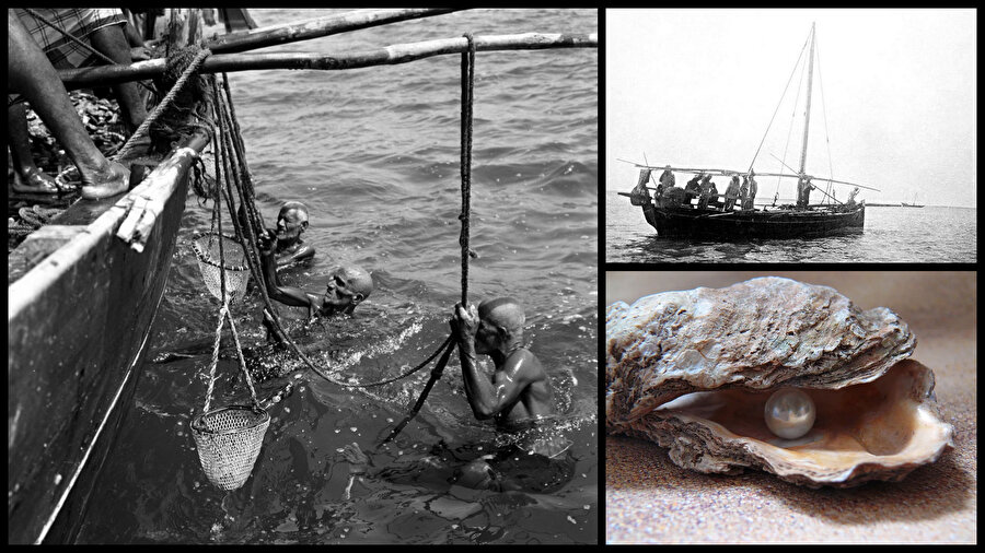 Basra Körfezi’nde bir kadim meslek: İnci avcılığı