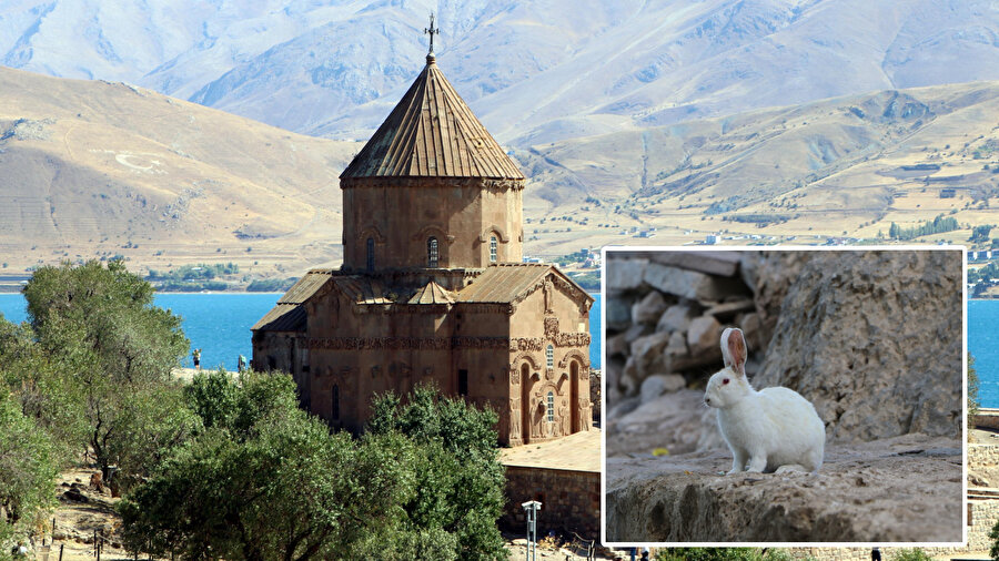 Van'daki Akdamar Adası neden batıyor?