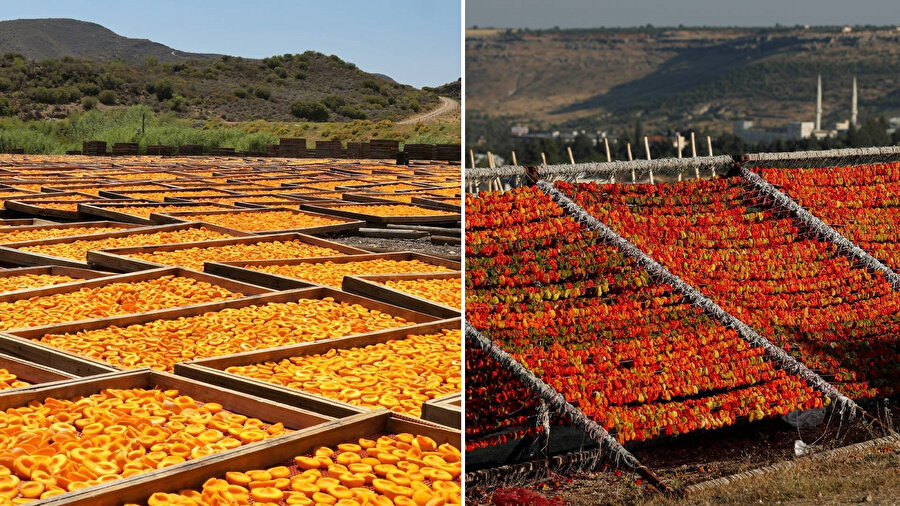 Güneşte kurutmak her zaman sağlıklı mı?