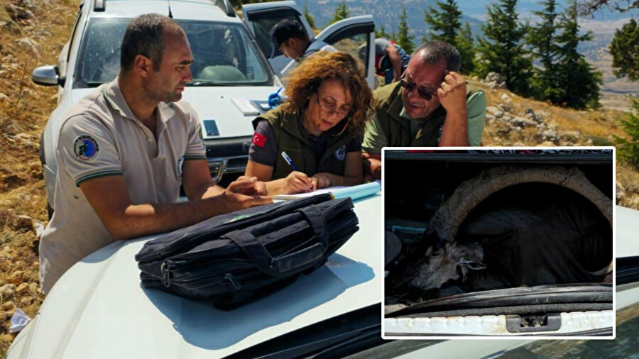 2 yaban keçisini avlayan şahıslar yakalandı
