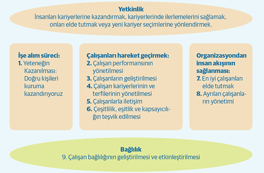 Yeteneği geliştirmeye yönelik seçenekler. 