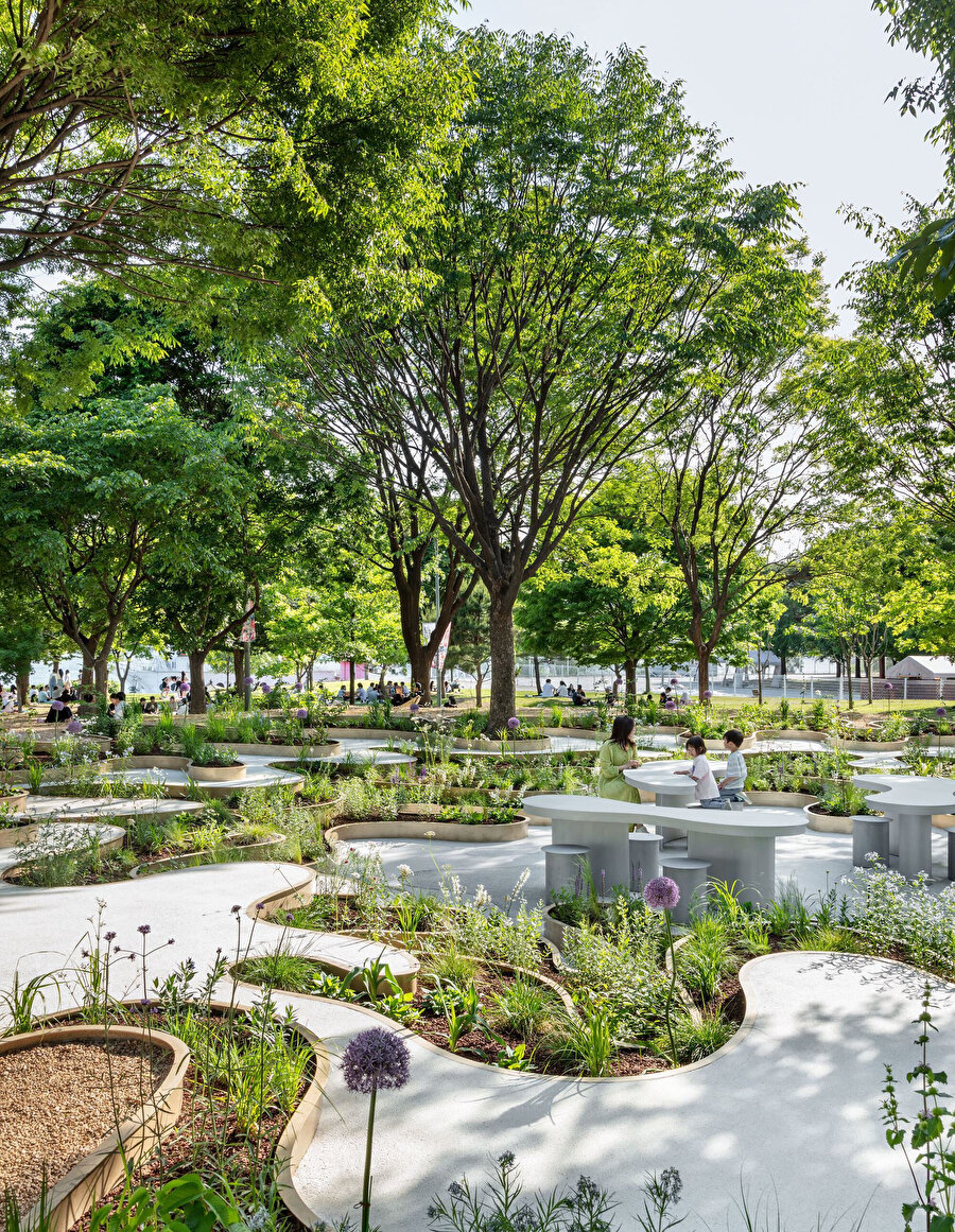 Immersive Resilience Garden. 