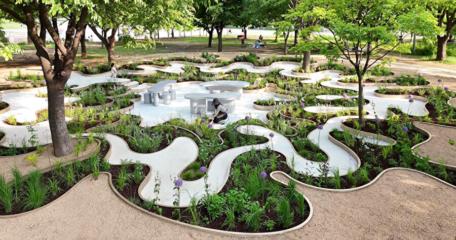 Immersive Resilience Garden. 