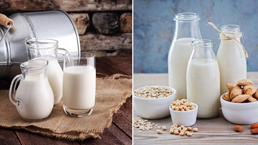Bitkisel süt ve hayvansal süt arasındaki farklar neler?