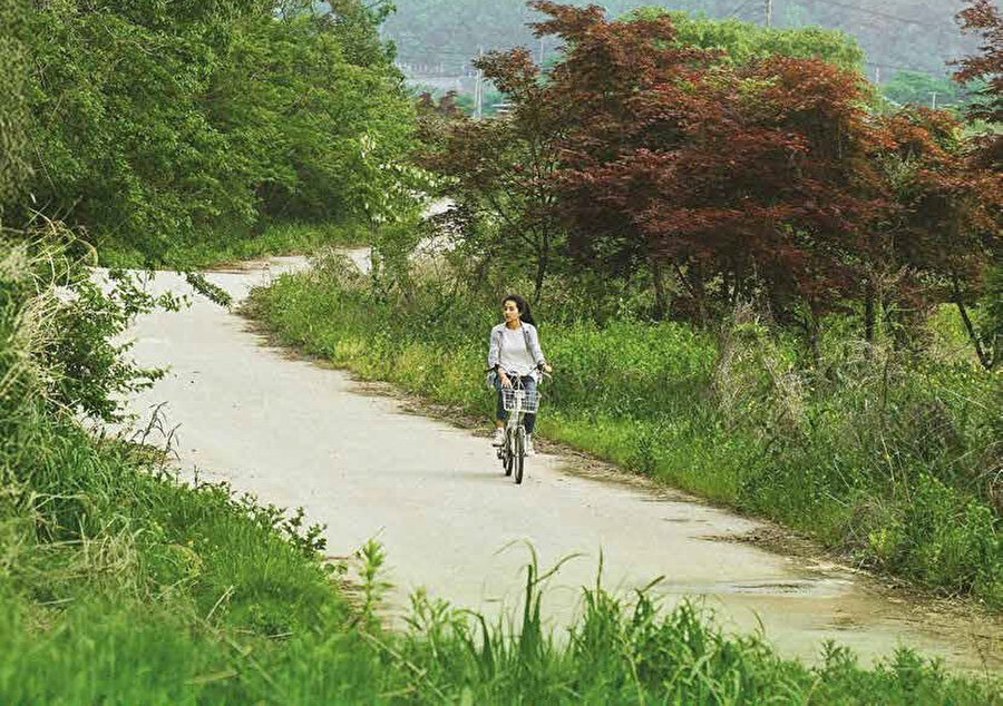 “Küçük Orman” (Little Forest)