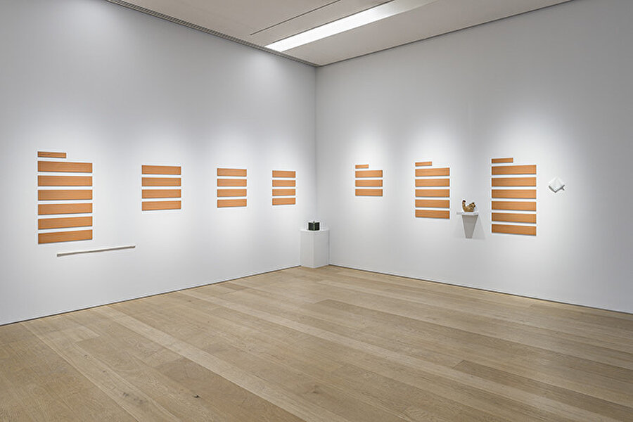 Yasemin Özcan: Islak Zemin.