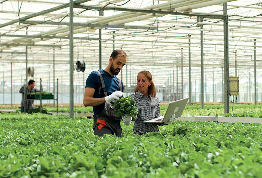 Tarıma yönelik modern bir yaklaşımı temsil eden bu seralar; sıcaklık, nem, ışık ve toprak nemi gibi kritik faktörleri izleyen sensörlerle donatılıyor.
