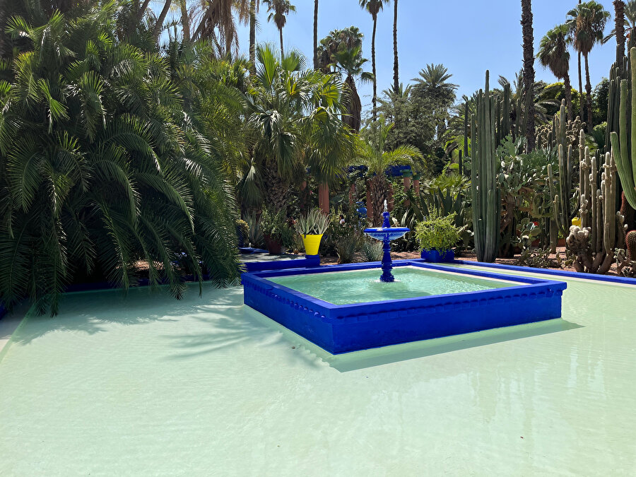 Jardin Majorelle, havuz. Fotoğraf: Lâl Dalay 