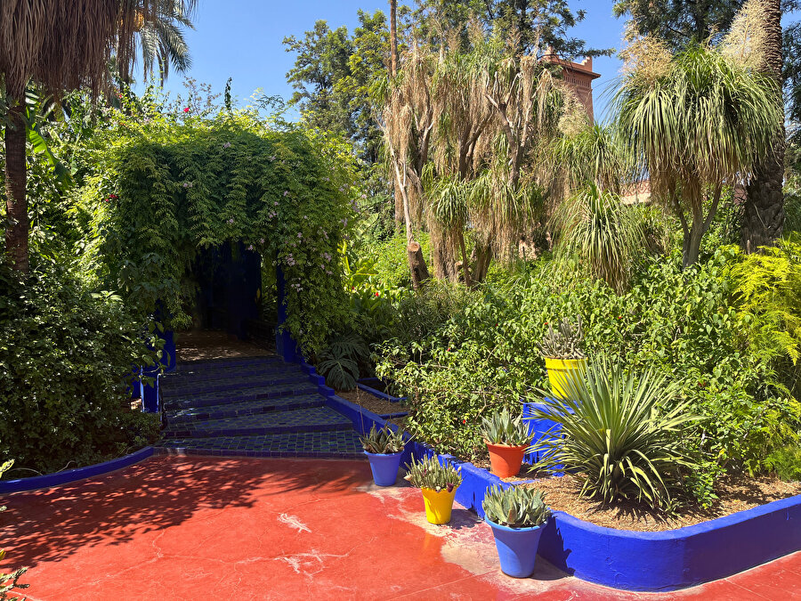 Jardin Majorelle. Fotoğraf: Uluç Algan