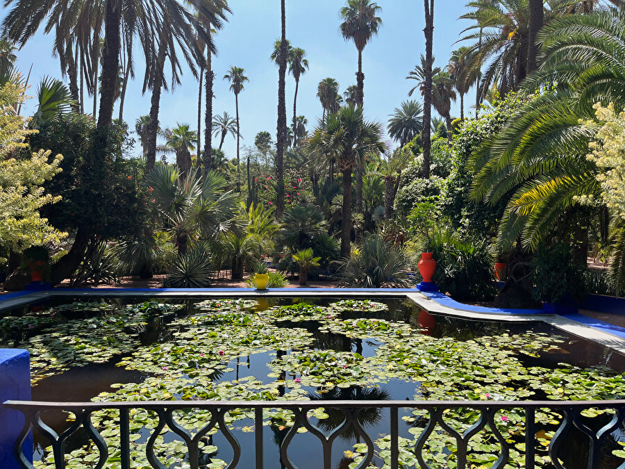 Jardin Majorelle, su zambakları havuzu. Fotoğraf: Uluç Algan 