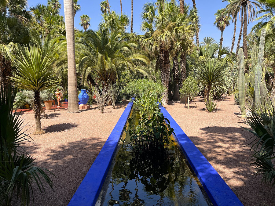Jardin Majorelle. Fotoğraf: Uluç Algan 