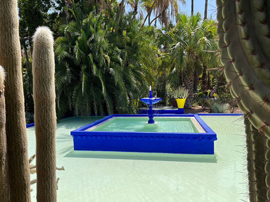 Jardin Majorelle. Fotoğraf: Uluç Algan. 