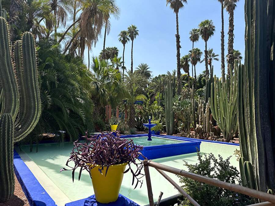 Jardin Majorelle. Fotoğraf: Uluç Algan 