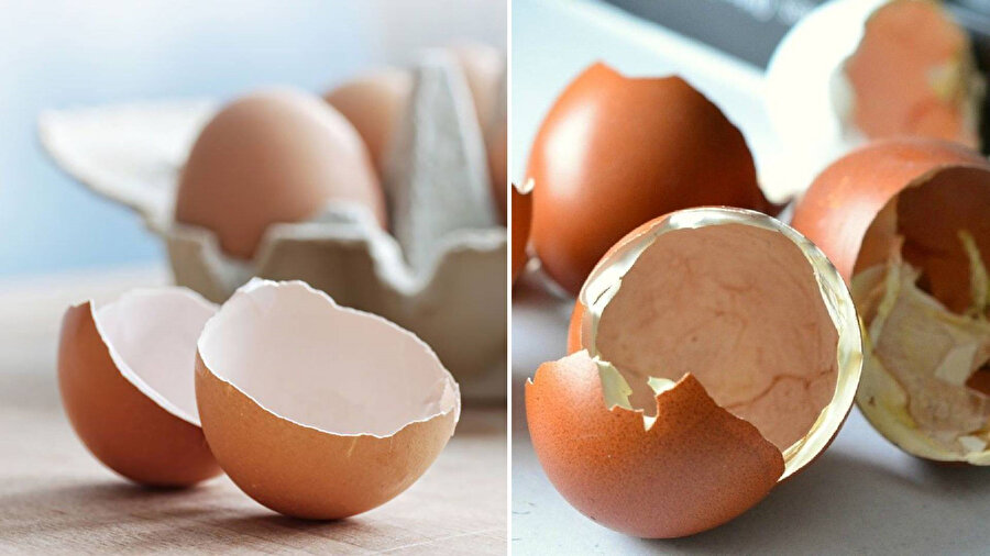 Artık yumurta kabuklarını çöpe atmaya son!